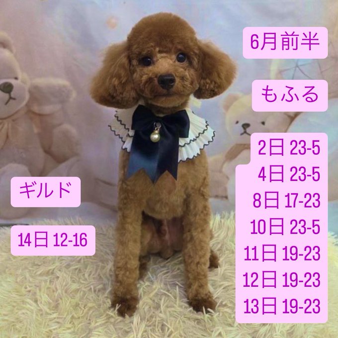 アニソンバーもふる大宮店のツイート