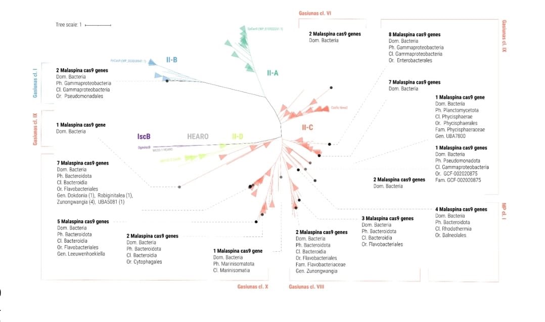 AcinasLab tweet media