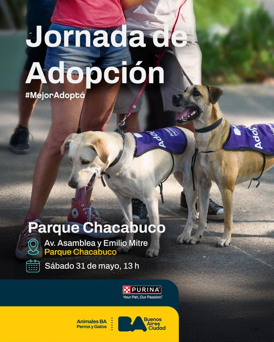 Animales BA tweet media