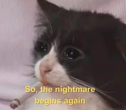 klara_sjo's tweet photo. My FBI agent every day when I log into X https://t.co/eUSEwuZbGg