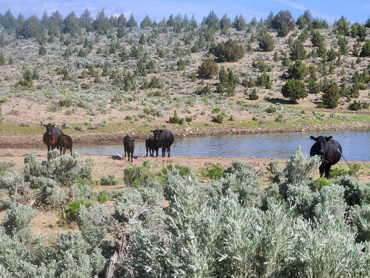 A morning in Oregon's empty quarter