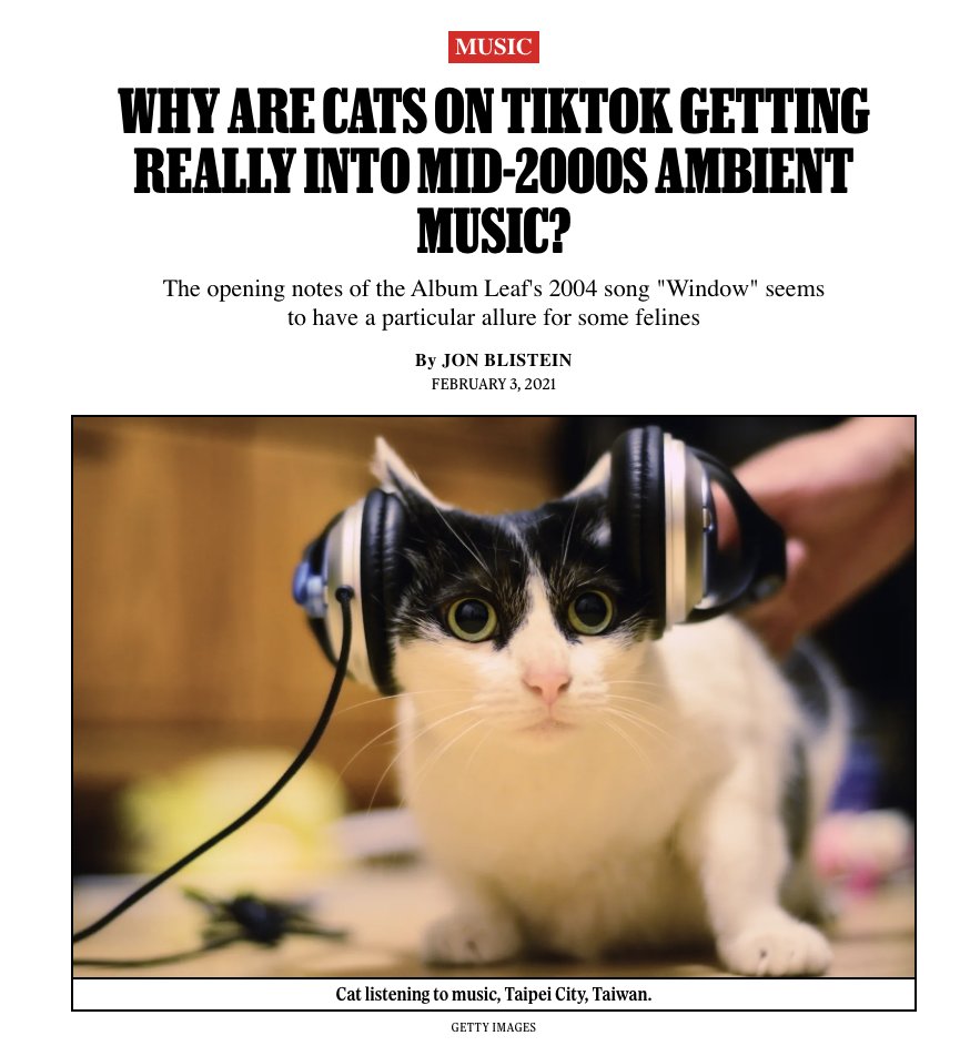 The Album Leaf tweet media