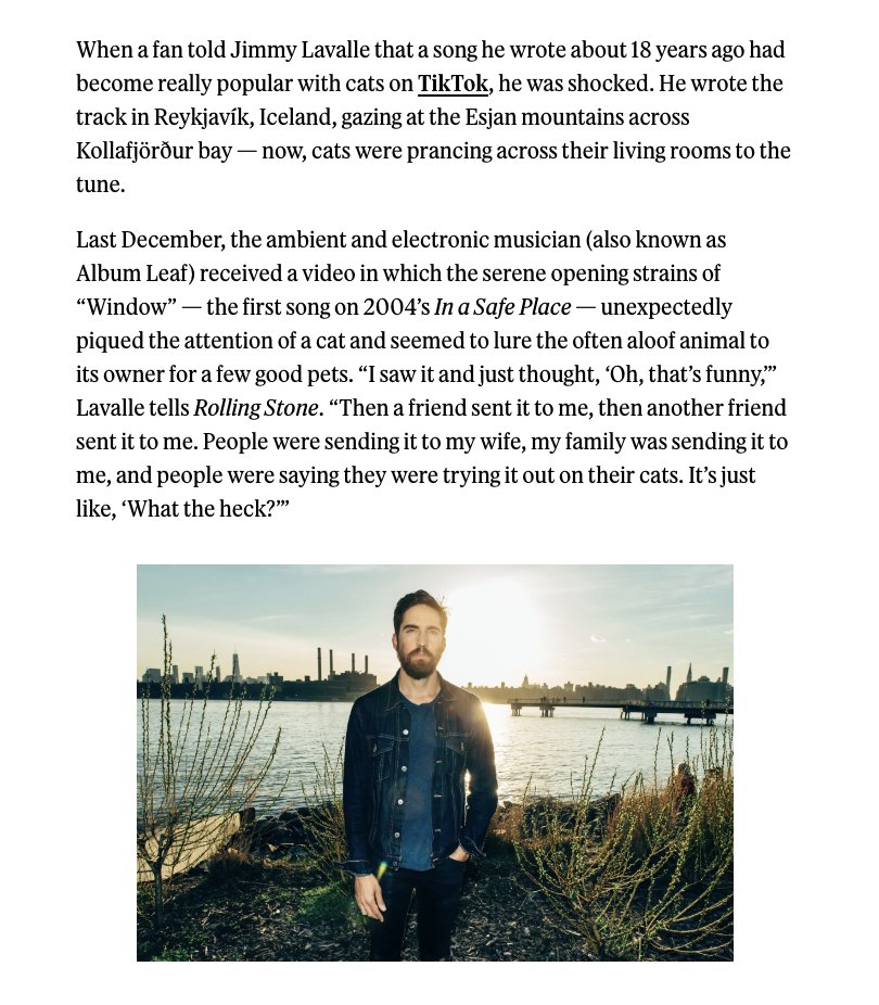 The Album Leaf tweet media