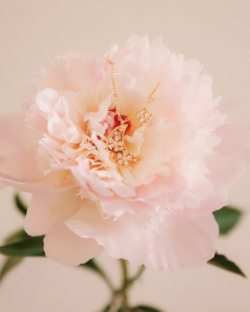 Delicate florals, golden moons, and a little bit of everyday magic.
Meet the Flora Necklace – designed to bloom with you 🌸✨

l8r.it/berx