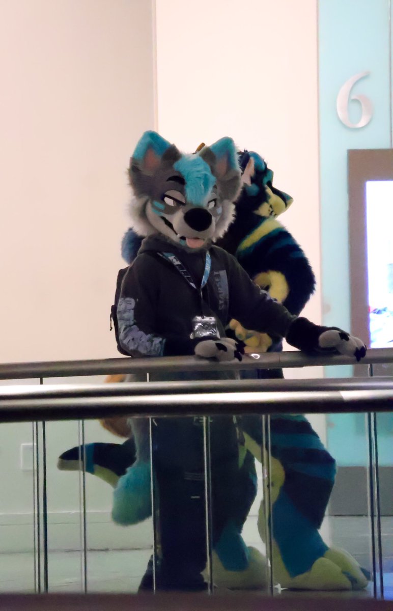 Baxston-Wuff~vibin at home :3 (@baxston_wolf) on Twitter photo Alright lets kick this photo thread off starting with before day 0 at #FWA25
🩶🩵 <a href="/Ferris_Kovacs/">Thunder Puppy</a> Alright lets kick this photo thread off starting with before day 0 at #FWA25
🩶🩵 <a href="/Ferris_Kovacs/">Thunder Puppy</a>