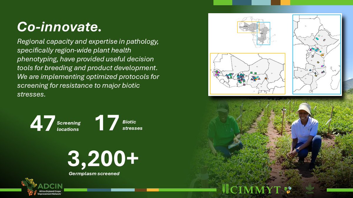 Africa Dryland Crops Improvement Network tweet media