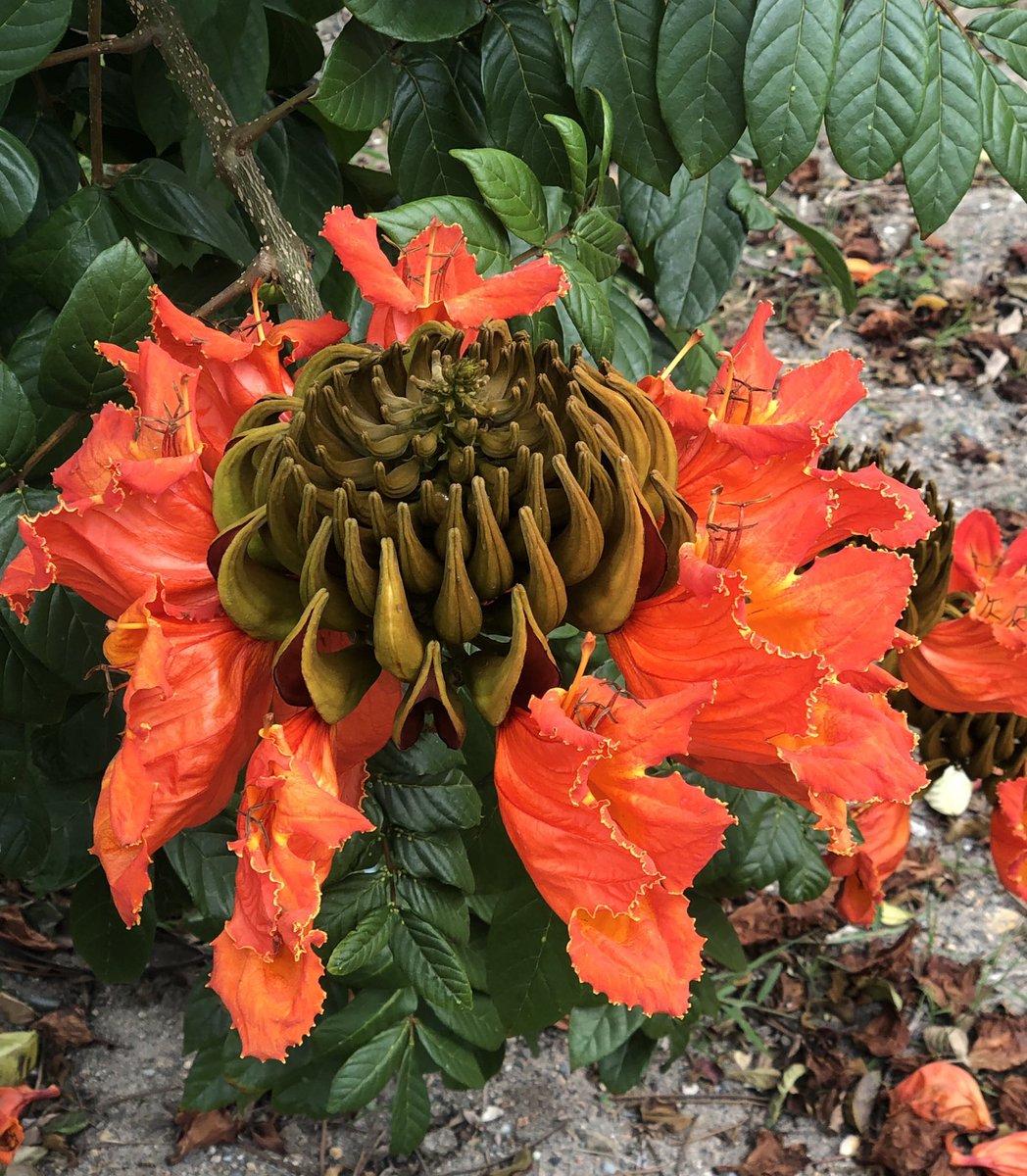 Michelle DeFreese tweet media