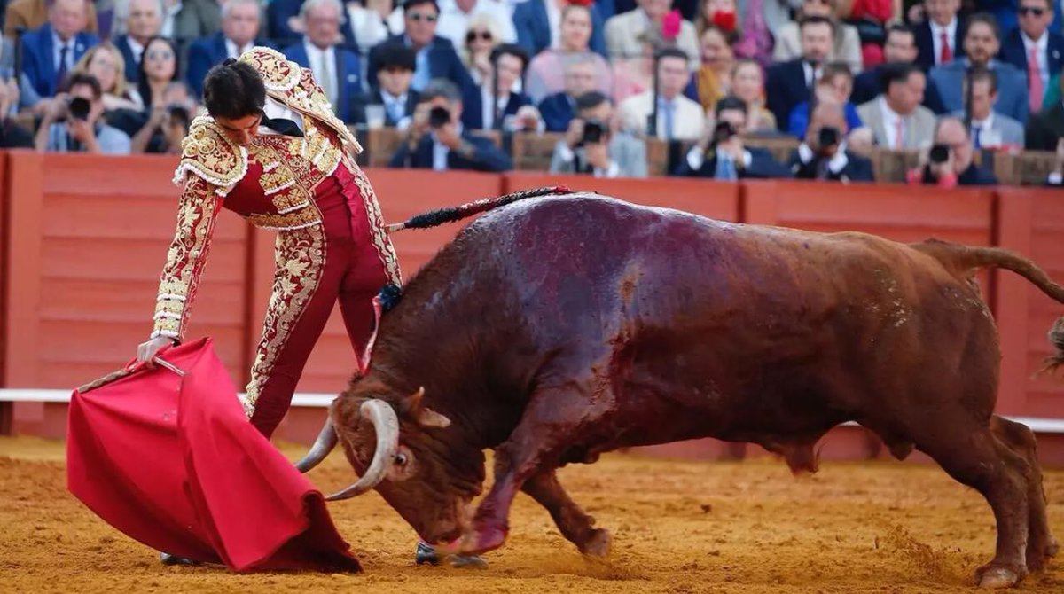 Tertulia Los 40 (@tertulialos40) on Twitter photo Reunido en nuestra sede el jurado designado para elegir al toro más bravo o mejor toro de la Feria de Abril de 2025, ha fallado en “Anárquico” de la ganadería de Santiago Domecq, lidiado por Miguel Ángel Perera el pasado 6 de mayo. Felicidades a <a href="/santiagodomecqb/">Ganadería Santiago Domecq</a> 📷Pagés Reunido en nuestra sede el jurado designado para elegir al toro más bravo o mejor toro de la Feria de Abril de 2025, ha fallado en “Anárquico” de la ganadería de Santiago Domecq, lidiado por Miguel Ángel Perera el pasado 6 de mayo. Felicidades a <a href="/santiagodomecqb/">Ganadería Santiago Domecq</a> 📷Pagés