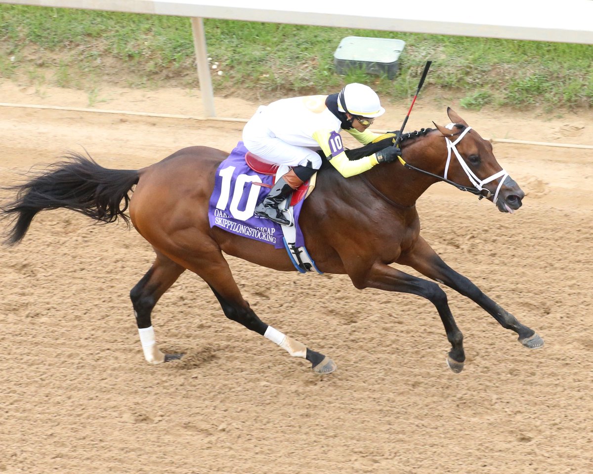 Oaklawn Hot Springs (@oaklawnracing) on Twitter photo Big Memorial Day for Oaklawn alums ๐บ๐ธ
๐ Neon Beach takes the Ouija Board Distaff for #TeamAsmussen <a href="/lonestarpark/">Lone Star Park</a>
๐ Instant Replay scores in the Texas Derby for <a href="/bradcoxracing/">Brad H. Cox Racing</a> <a href="/lonestarpark/">Lone Star Park</a>
๐ Skippylongstocking dominates the G2 Hollywood Gold Cup at <a href="/santaanitapark/">Santa Anita Park</a> for Big Memorial Day for Oaklawn alums ๐บ๐ธ
๐ Neon Beach takes the Ouija Board Distaff for #TeamAsmussen <a href="/lonestarpark/">Lone Star Park</a>
๐ Instant Replay scores in the Texas Derby for <a href="/bradcoxracing/">Brad H. Cox Racing</a> <a href="/lonestarpark/">Lone Star Park</a>
๐ Skippylongstocking dominates the G2 Hollywood Gold Cup at <a href="/santaanitapark/">Santa Anita Park</a> for