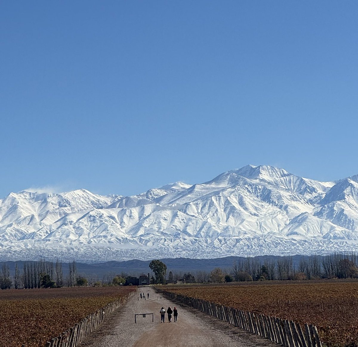 Qué provincia del bien que es Mendoza