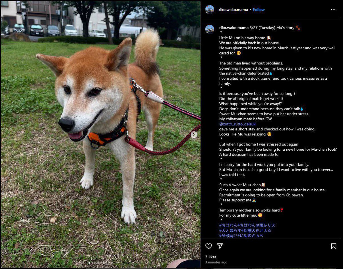 <a href="/TeTheGamer/">Te’ 𓃵</a> Have a look at $Mu-Chan

New member of the family 

$Cocoro $Neiro $Mu-Chan

Now the pack is complete 

The community is growing organically 

The floor is solid 

The narrative is hot

The CTO is based

Ca 0xb6d369FAf21CDa1b281013EA83BAdF6Bb26B884d

@muchan_cto_portal