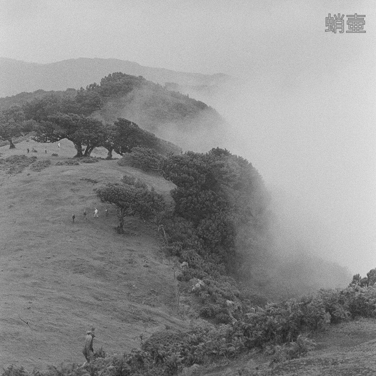 SendenAAA's tweet image. TAKOTSUBO, mon premier projet 🤍
30/05/25 partout