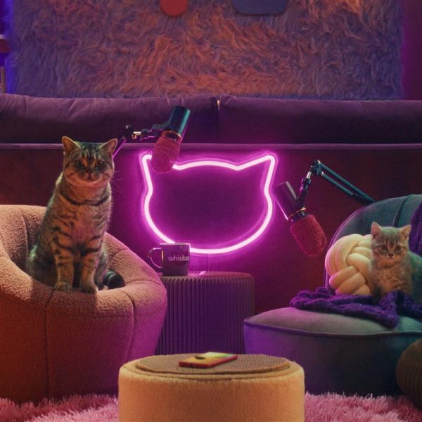 WHISKAS® Brand Launches ‘The Purrcast’, A Kitten Advice Podcast Hosted by Cats marcommnews.com/whiskas-brand-… <a href="/AMV_BBDO/">AMV BBDO</a> <a href="/whiskas_uk/">WHISKAS UK</a> #MarCommNews