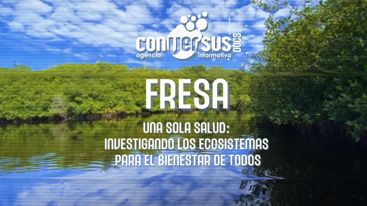 Conversus_IPN's tweet photo. 🍓FRESA 🌅 el proyecto de la Red de Investigación de Medio Ambiente, del @IPN_MX realiza un diagnóstico de los ecosistemas acuáticos.
@IPNENCB 🌱 @cps_ipn ♻️ @CicimarIpn 🌊 @IPN_SIP
▶️¡Disponible en Conversus TV 📺!
https://t.co/oRGRcYT8VK
#Conversus #ElEspaciodelaCiencia https://t.co/EfeLN4DFRk