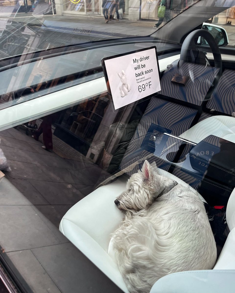 Even dogs get tired of shopping

Enable Dog Mode and let your pup nap peacefully while running errands