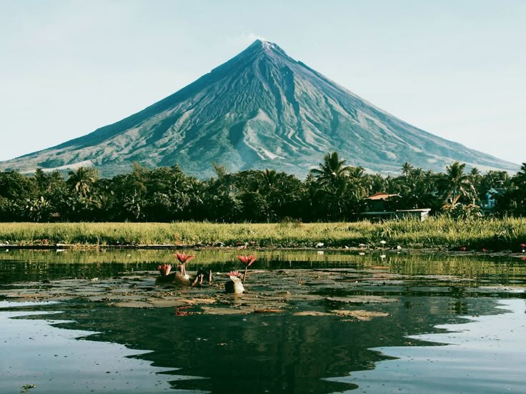 Dave's Travel Corner (@davedtc) on Twitter photo Albay: A Splendid Volcano Province , latest post on #davestravelcorner by <a href="/TWJourney/">Junfil Olarte</a> davestravelcorner.com/journals/desti… Albay: A Splendid Volcano Province , latest post on #davestravelcorner by <a href="/TWJourney/">Junfil Olarte</a> davestravelcorner.com/journals/desti…