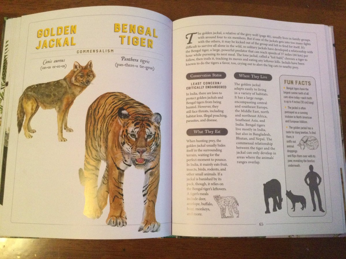 Here are some books that I wanted to show <a href="/BuiPawz/">Bui 🌎🐾</a> with some animals