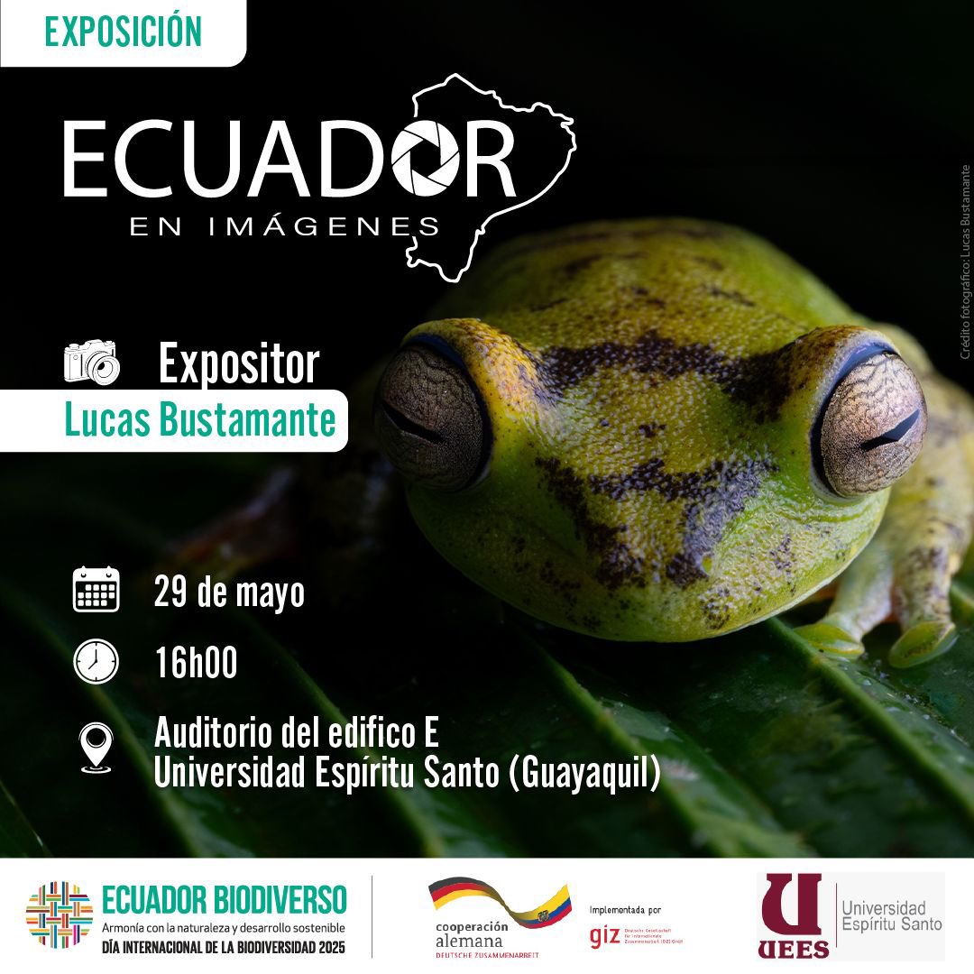 Lucas Bustamante tweet media