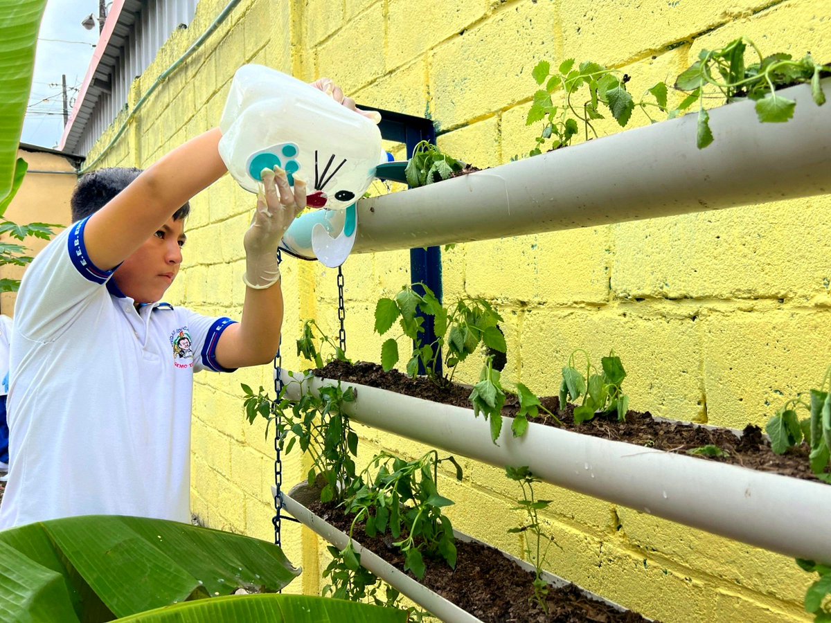 EducacionZ5_Ec's tweet photo. En la Unidad Educativa Eugenio Espejo, en Milagro, se inauguró un Patio Inclusivo, dirigido a todos los estudiantes para que puedan jugar, aprender y crecer juntos.👧🏽👦🏿
En estos espacios se fortalecen las habilidades sociales y se fomenta la empatía y respeto. ♿
#ElNuevoEcuador https://t.co/m4edVjk5ow