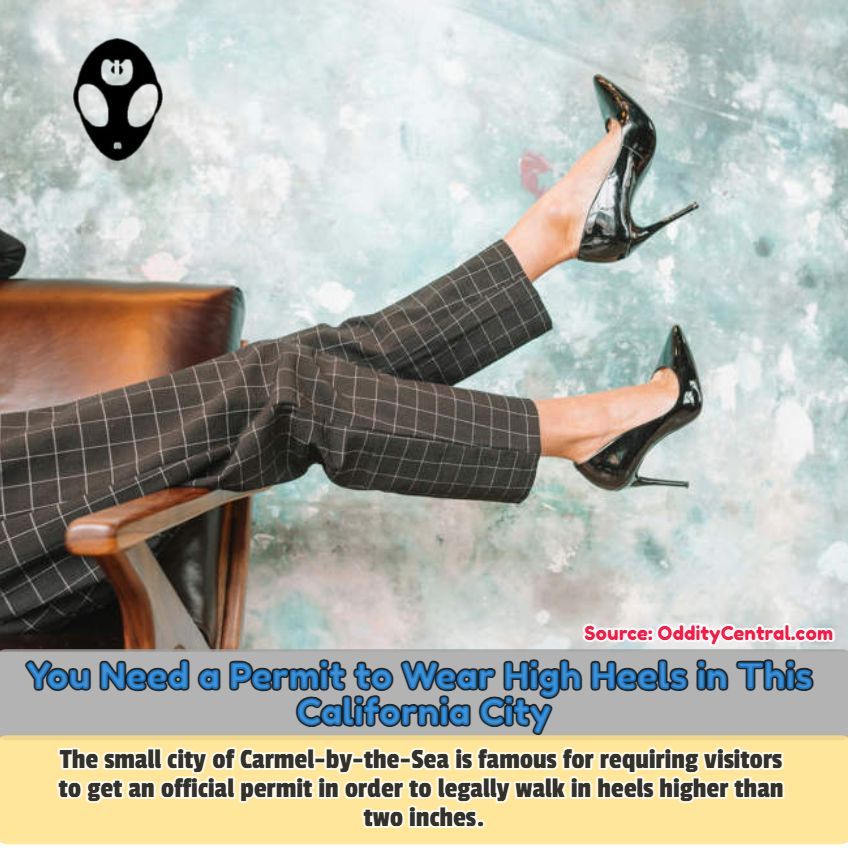 Carmel-by-the-Sea’s infamous high-heel 👠 permit sounds like an urban myth, but it’s a real, official requirement in the Monterey city. 

odditycentral.com/news/you-need-… 

#CarmelbytheSea #highheels #facts #interesting #offbeat #oddities #odditycentral
