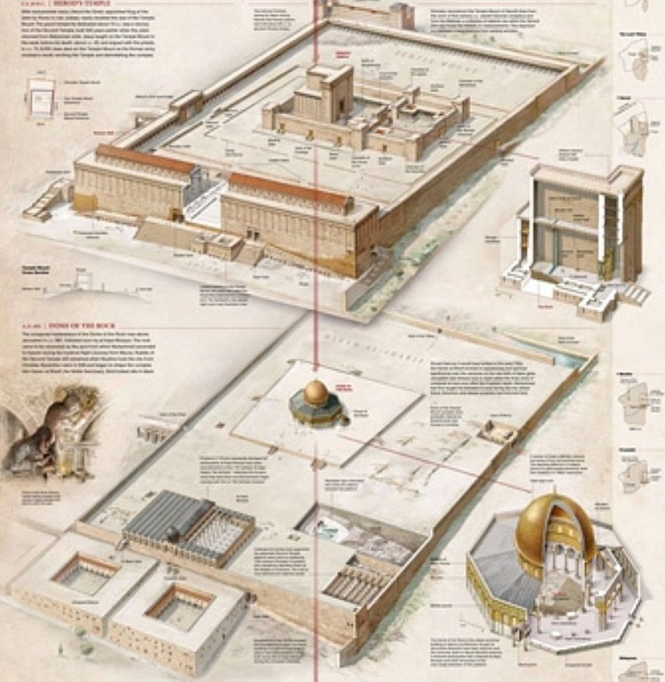 wokee_up's tweet image. سيكون بناء الهيكل في ساحة المسجد الأقصى على أنقاض قبة الصخرة بحيث يكون بجانب المصلى القبلي
المحاكاة تم تنفيذها قبل سنوات!
ثلاثة معابد بجانب بعضها البعض