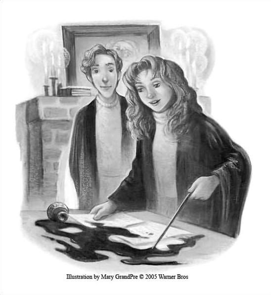 🐕🦦 tweet media