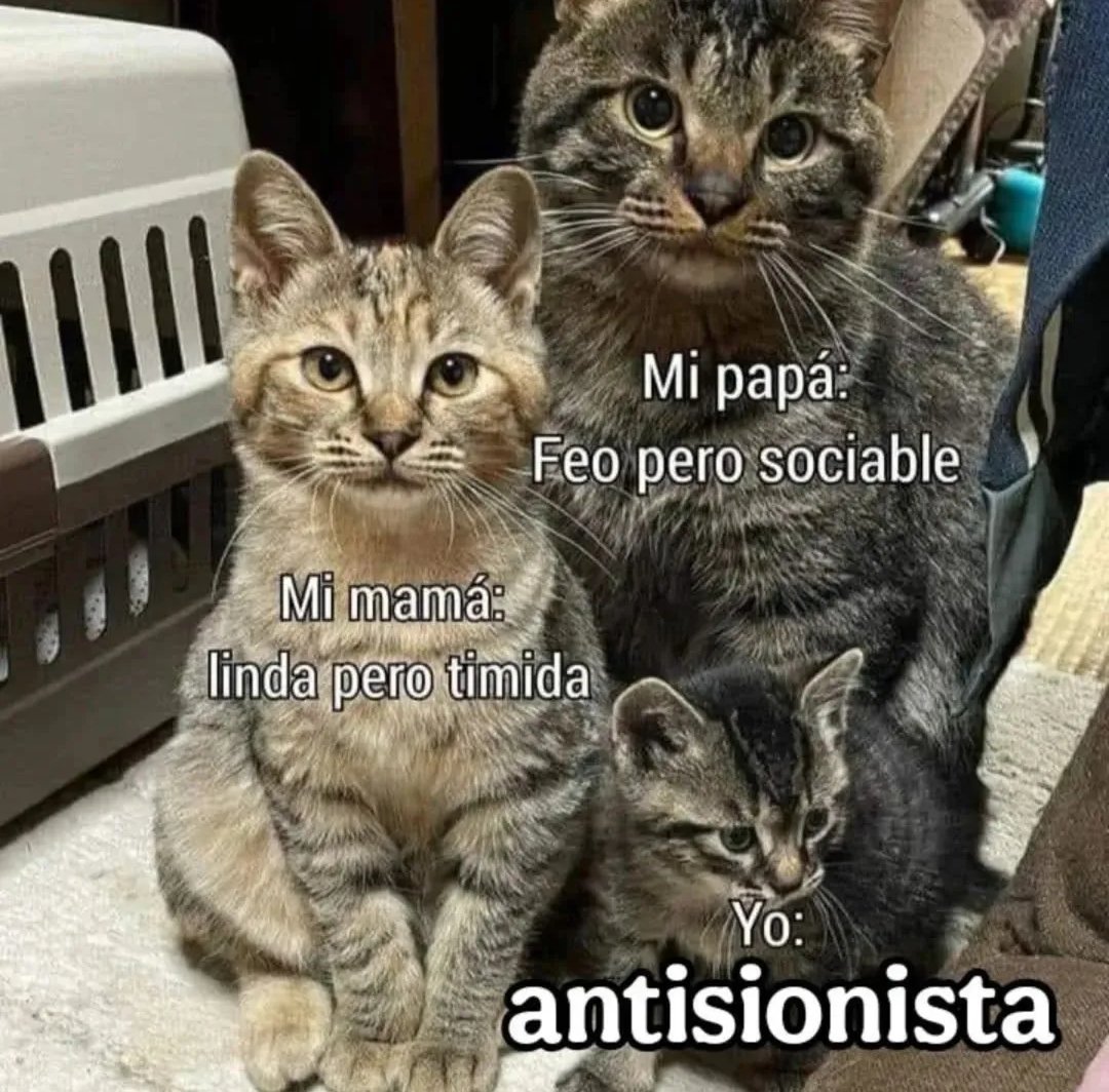 picandomecheros's tweet image. 