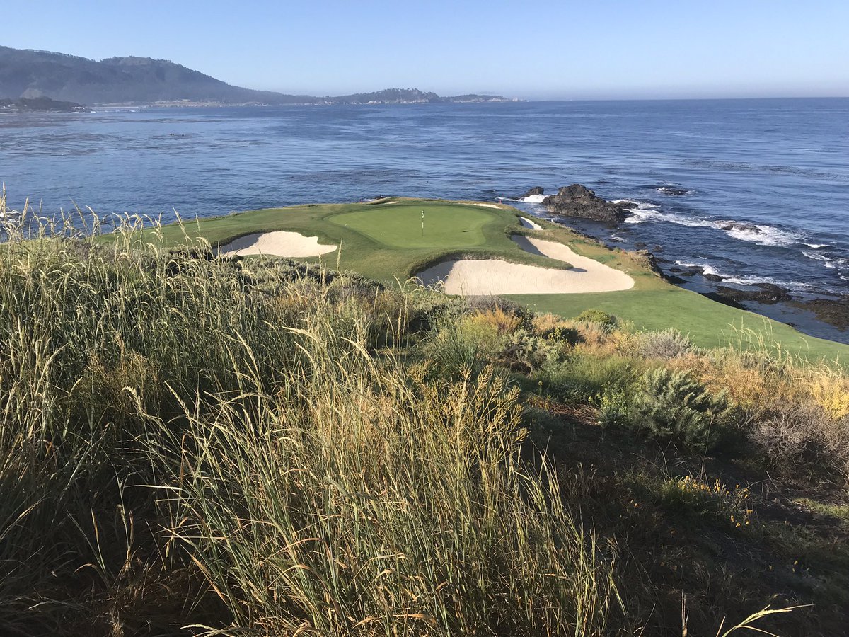 glorifieddonkey tweet media