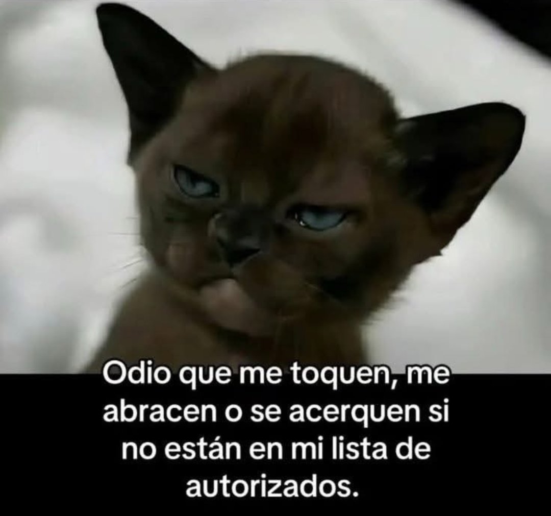 iba_carola's tweet photo. Así mero!