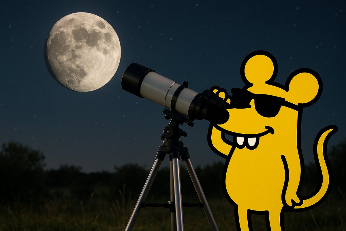 I'm scouting for my next vacation destination!

#meme #rattie #crypto #solana #moon