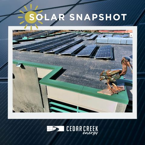 Solar Snapshot ☀️
We recently completed a 39 kW DC solar installation for Flannery Construction in St. Paul.

🏢 Industry: Business and Retail
🌞 Their new system supports energy savings and long-term sustainability goals.

Thanks to Flannery Construction for leading by example!