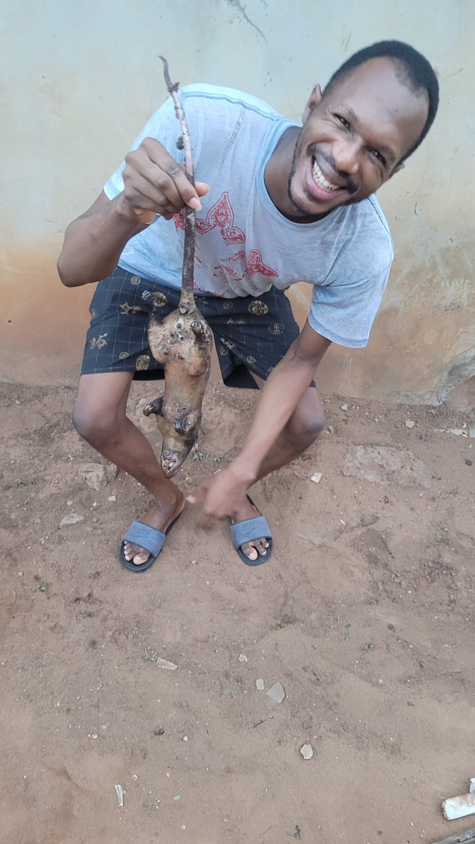 DanielRegha's tweet image. ...🙂