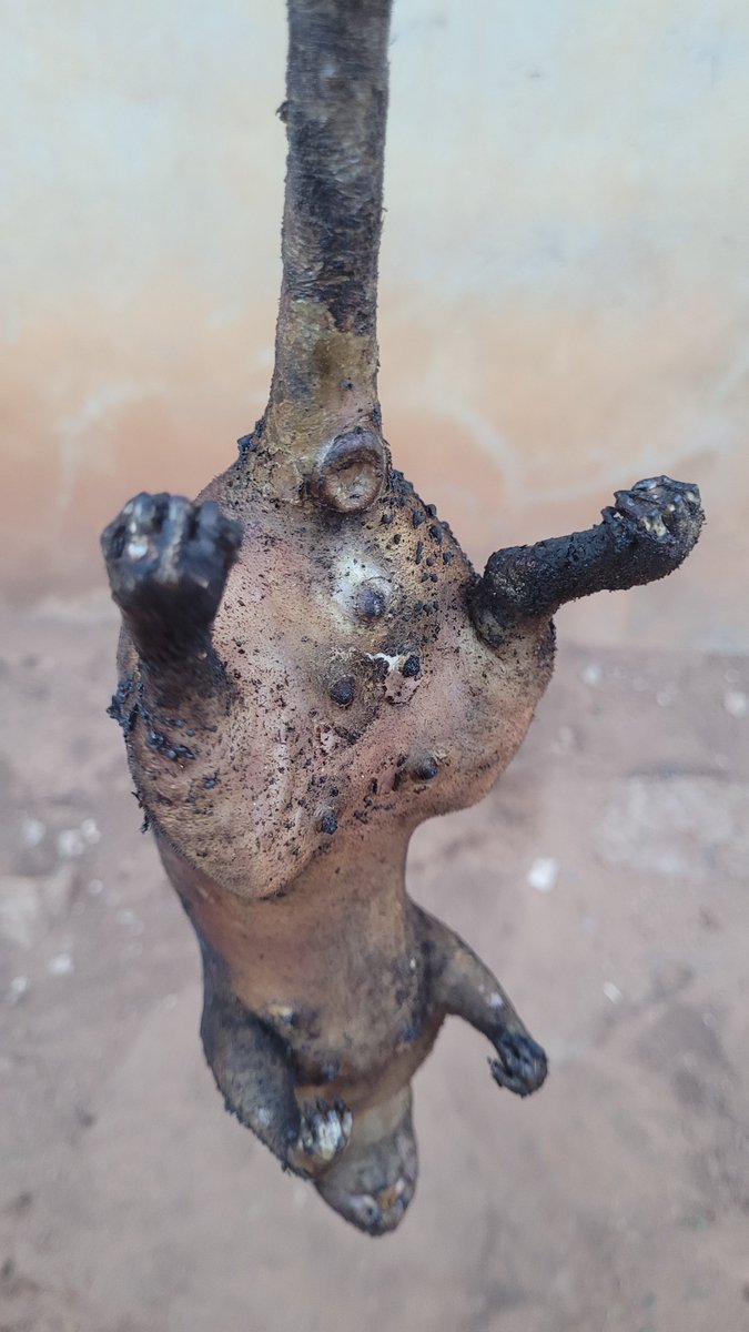 DanielRegha's tweet image. ...🙂