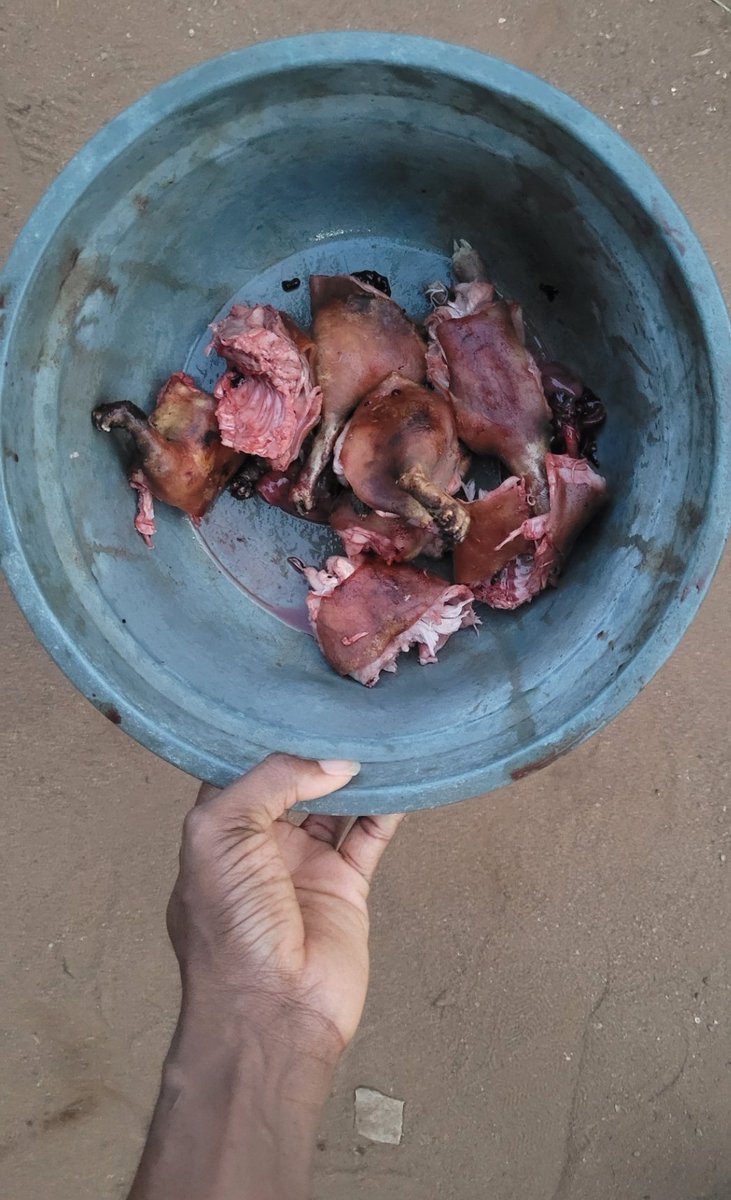 DanielRegha's tweet image. ...🙂