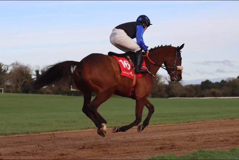 Money for Jam Syndicate (@moneyforjam__) on Twitter photo The Big Doyen has been declared for the Wexford Racecourse Rated Hurdle tomorrow in <a href="/WexfordRacecour/">Wexford Racecourse</a> and will be ridden by <a href="/kevinsexton94/">Kevin Sexton</a>. Wishing the best of luck to all involved 🔵⚫️ <a href="/Declanqueally/">Declan Queally</a> The Big Doyen has been declared for the Wexford Racecourse Rated Hurdle tomorrow in <a href="/WexfordRacecour/">Wexford Racecourse</a> and will be ridden by <a href="/kevinsexton94/">Kevin Sexton</a>. Wishing the best of luck to all involved 🔵⚫️ <a href="/Declanqueally/">Declan Queally</a>