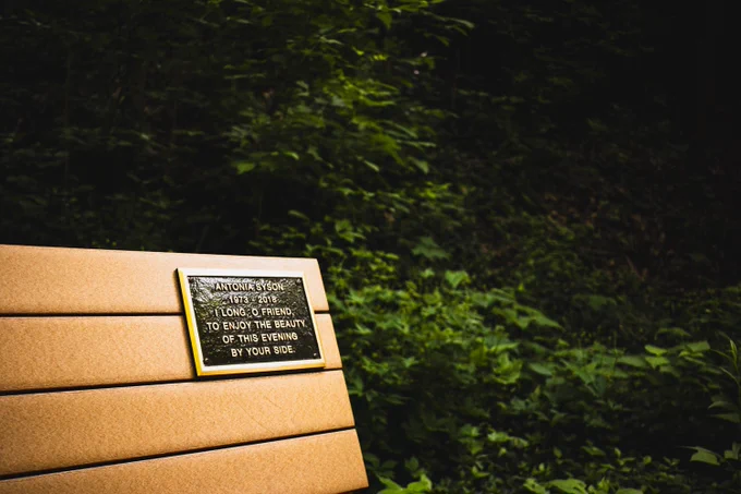 Dedicated bench at Happy Hollow Park.