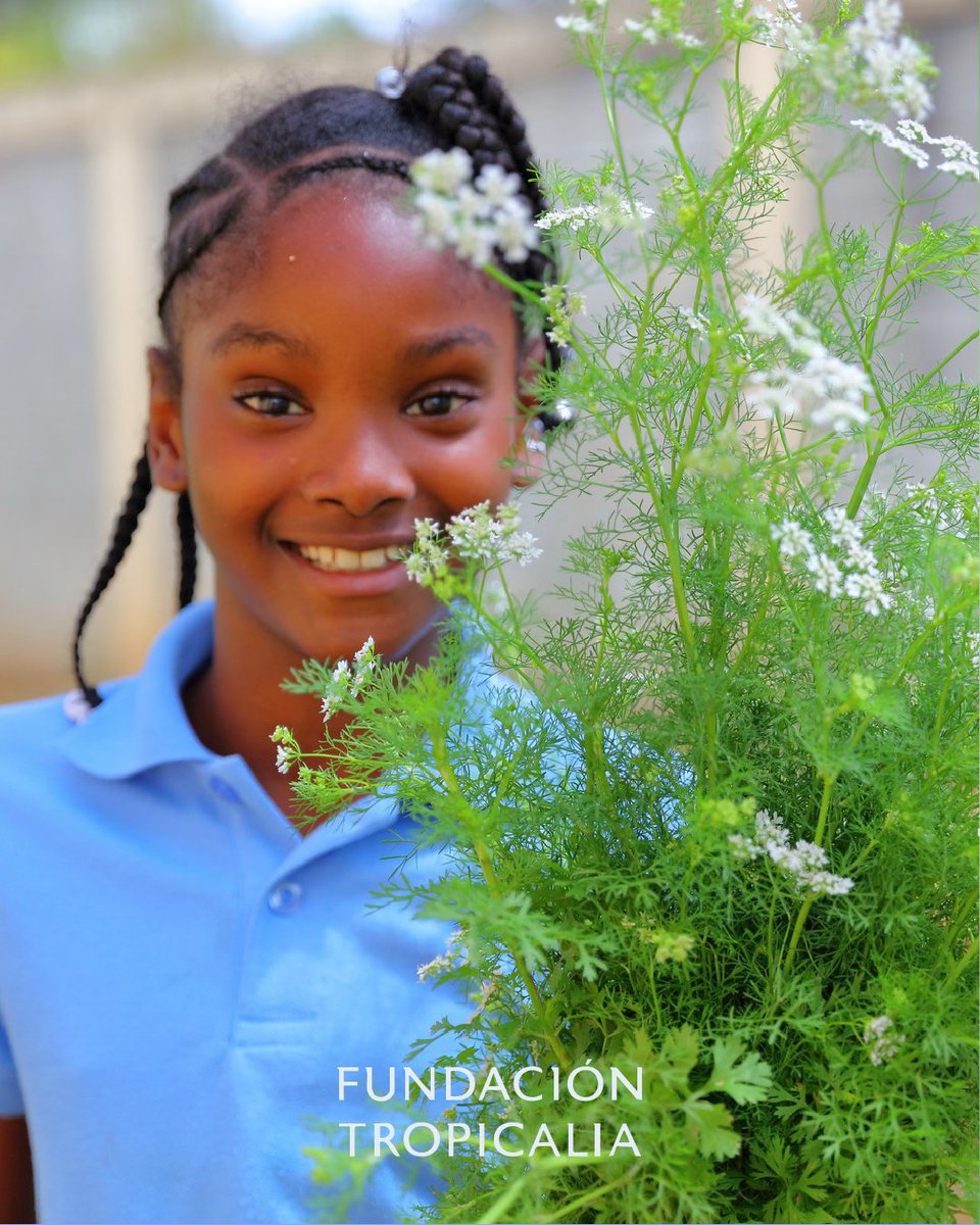 Sólo cuidamos lo que conocemos. La educación ambiental nos permite entender el impacto de nuestras acciones y fomentar una relación más respetuosa con la naturaleza.

En Fundación Tropicalia creemos que el cambio empieza con conocimiento.

#EducaciónAmbiental #Sostenibilidad