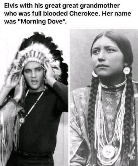 “Truth is like the sun. You can shut it out for a time, but it ain’t goin’ away.” —Elvis Presley, Cherokee
🧬Proud of the indigenous blood that runs through our veins.