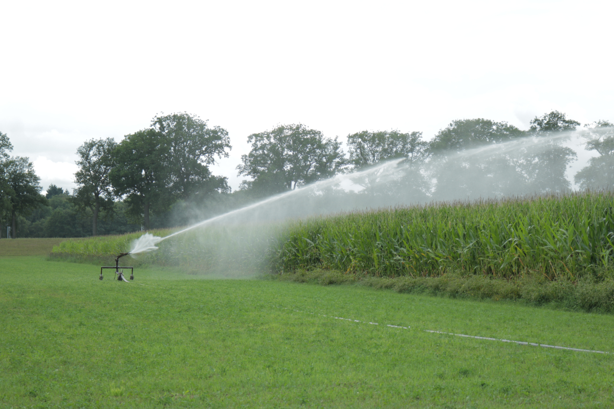 Regen geeft verlichting, maar bodem houdt dorst. De #regen die viel is niet genoeg om het neerslagtekort te compenseren. We moeten water vanuit de IJssel en het IJsselmeer blijven aanvoeren om aan de watervraag te kunnen voldoen. 👉 wdodelta.nl/droogteblog-re…