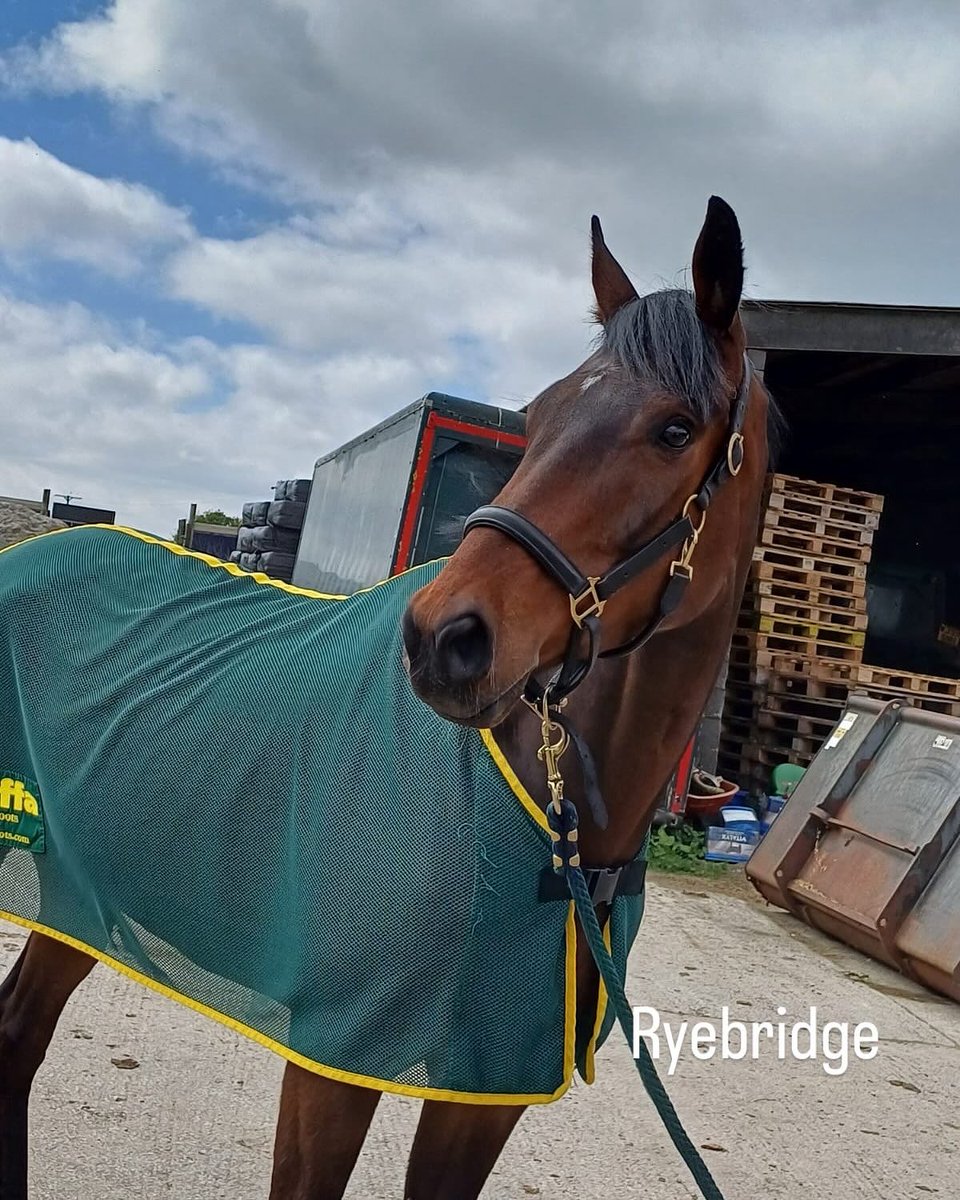 J Parkinson & S Smith Racing π (@jpandssracing) on Twitter photo Just the one runner tomorrow at <a href="/Cartmelrace/">Cartmel Racecourse</a>
Rybridge makes his debut over hurdles in the 5:40 2m1f, to be ridden by Peter Kavanagh π.
Good luck to all the team and connections β Just the one runner tomorrow at <a href="/Cartmelrace/">Cartmel Racecourse</a>
Rybridge makes his debut over hurdles in the 5:40 2m1f, to be ridden by Peter Kavanagh π.
Good luck to all the team and connections β