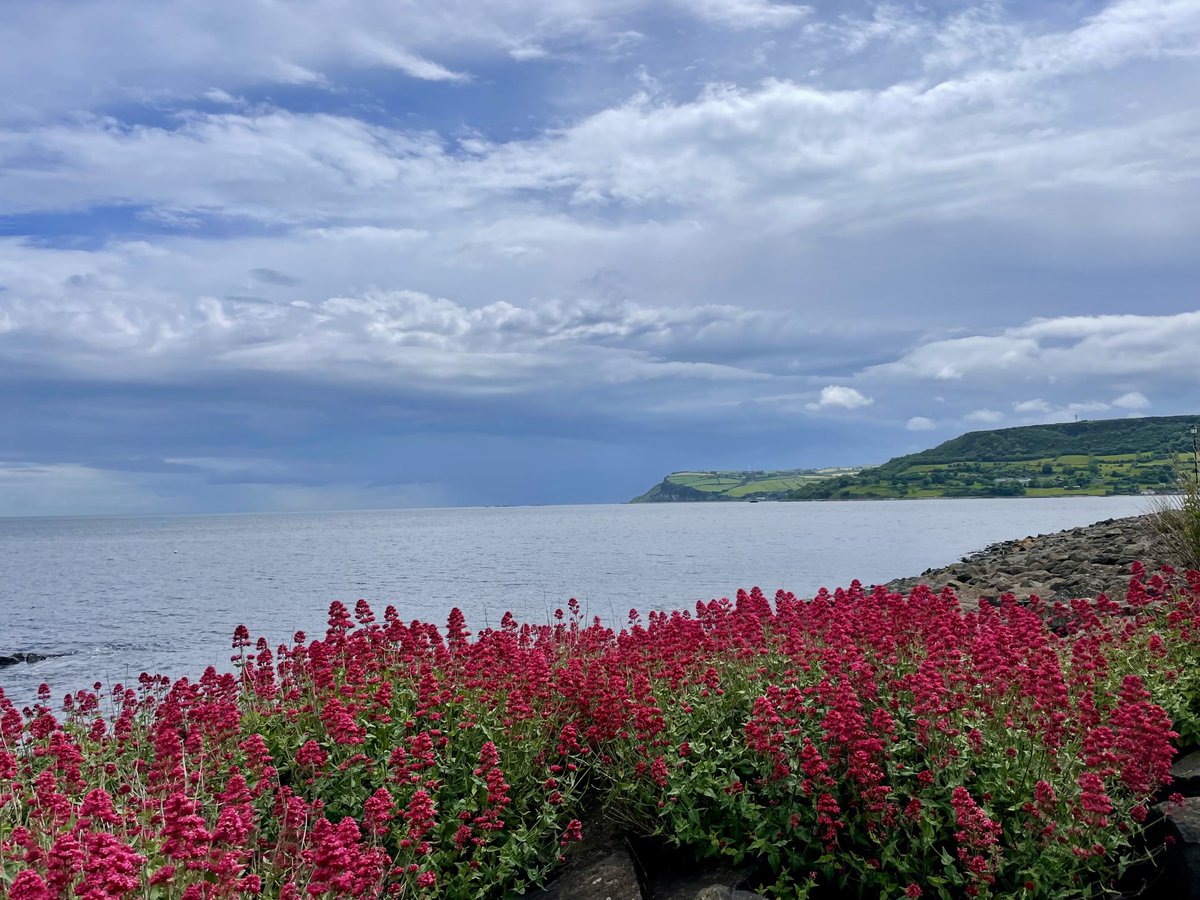 Carnlough. ⁦<a href="/Louise_utv/">Louise Small</a>⁩ ⁦<a href="/WeatherCee/">Cecilia Daly</a>⁩ ⁦<a href="/bbcniweather/">BBC NI Weather</a>⁩ ⁦<a href="/WeatherAisling/">Aisling Creevey</a>⁩ ⁦<a href="/BBCWthrWatchers/">BBC Weather Watchers</a>⁩