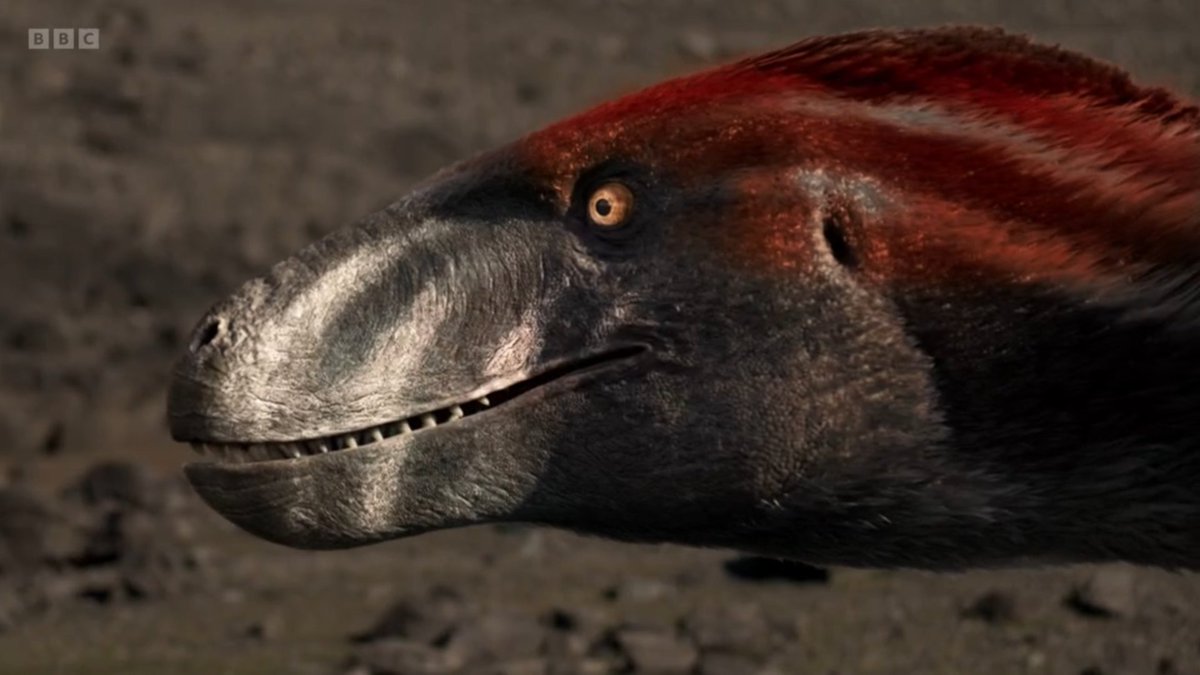 Sketchy_raptor's tweet image. There's very good model and texture work in the new Walking with Dinosaurs, and it shines the strongest when the dinosaurs are in open environments and rendered with longer lenses. I thought that these two shots in the third epsiode looked particularly impressive and convincing.