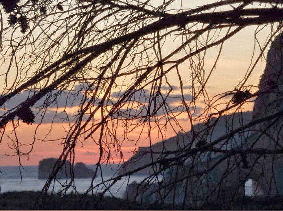 Tramonto sul mare, filtrato attraverso il denso intreccio di rami spogli in primo piano. I colori caldi del cielo, che sfumano dall'arancio al rosa, creano un contrasto affascinante con le silhouette scure degli alberi. In lontananza, si intravedono #ilConiglio e l’ #ArcoNaturale