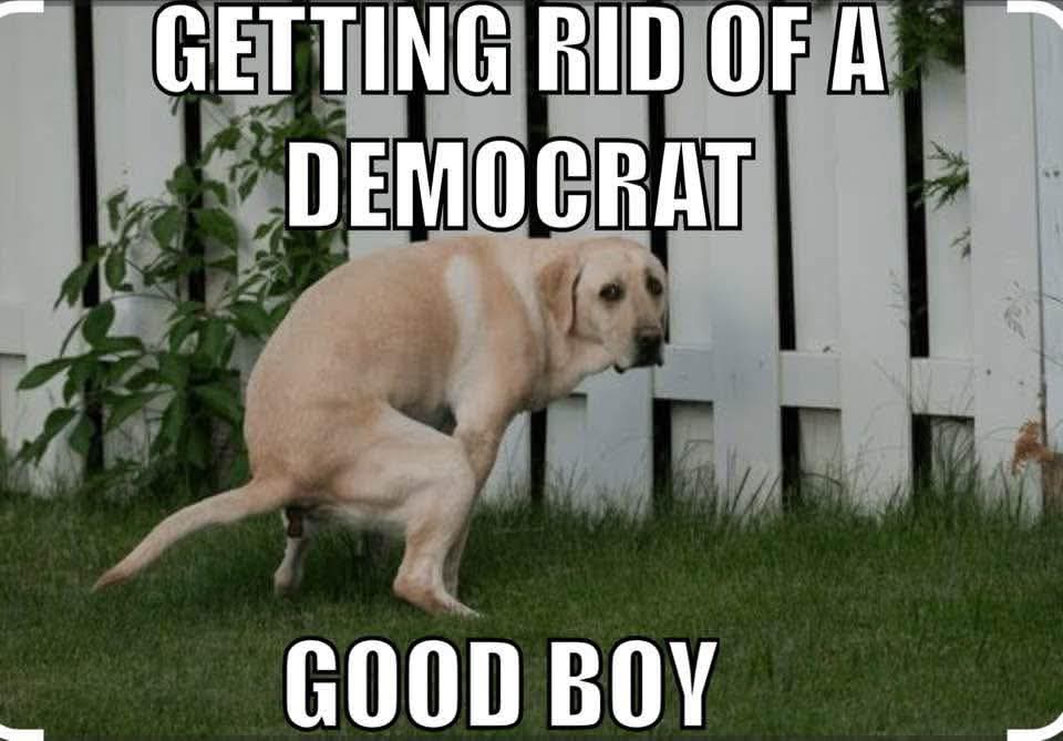 Rebs Fan and Reagan Conservative (@thejoker4624) on Twitter photo Gotham City Mid Afternoon Express. Please repost, repost, repost and comment for growth.
<a href="/Dog66515910/">Dog</a>
<a href="/MLimpact0804/">Maureen Lopez</a>
<a href="/Gooddlovee/">Real π trending</a>
<a href="/marijotrue/">MariJo</a>
<a href="/swty31/">Sw33ty31</a>
<a href="/_K4RiNN/">Karin</a>
<a href="/Stella3Mars/">Stella Mars</a>
<a href="/Primrose771646/">GODβS GIRL</a>
<a href="/Frikazoid1269/">Frika</a>
<a href="/Karrasamelia5/">Amelia</a>
<a href="/Sunshinentan/">Sunshine</a>
<a href="/m86742/">Mmir</a>
<a href="/LisaReneeM/">Lisa πΊπΈ</a>
<a href="/BeeAwake1/">Bee ππΏ</a>
<a href="/emily070i/">MILY</a> Gotham City Mid Afternoon Express. Please repost, repost, repost and comment for growth.
<a href="/Dog66515910/">Dog</a>
<a href="/MLimpact0804/">Maureen Lopez</a>
<a href="/Gooddlovee/">Real π trending</a>
<a href="/marijotrue/">MariJo</a>
<a href="/swty31/">Sw33ty31</a>
<a href="/_K4RiNN/">Karin</a>
<a href="/Stella3Mars/">Stella Mars</a>
<a href="/Primrose771646/">GODβS GIRL</a>
<a href="/Frikazoid1269/">Frika</a>
<a href="/Karrasamelia5/">Amelia</a>
<a href="/Sunshinentan/">Sunshine</a>
<a href="/m86742/">Mmir</a>
<a href="/LisaReneeM/">Lisa πΊπΈ</a>
<a href="/BeeAwake1/">Bee ππΏ</a>
<a href="/emily070i/">MILY</a>