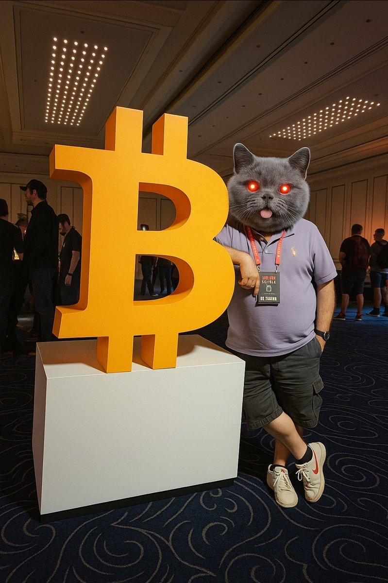OP_hodl3r's tweet photo. The cute cat is in action. $RON $ZENT $CAG https://t.co/h3oePuINcY