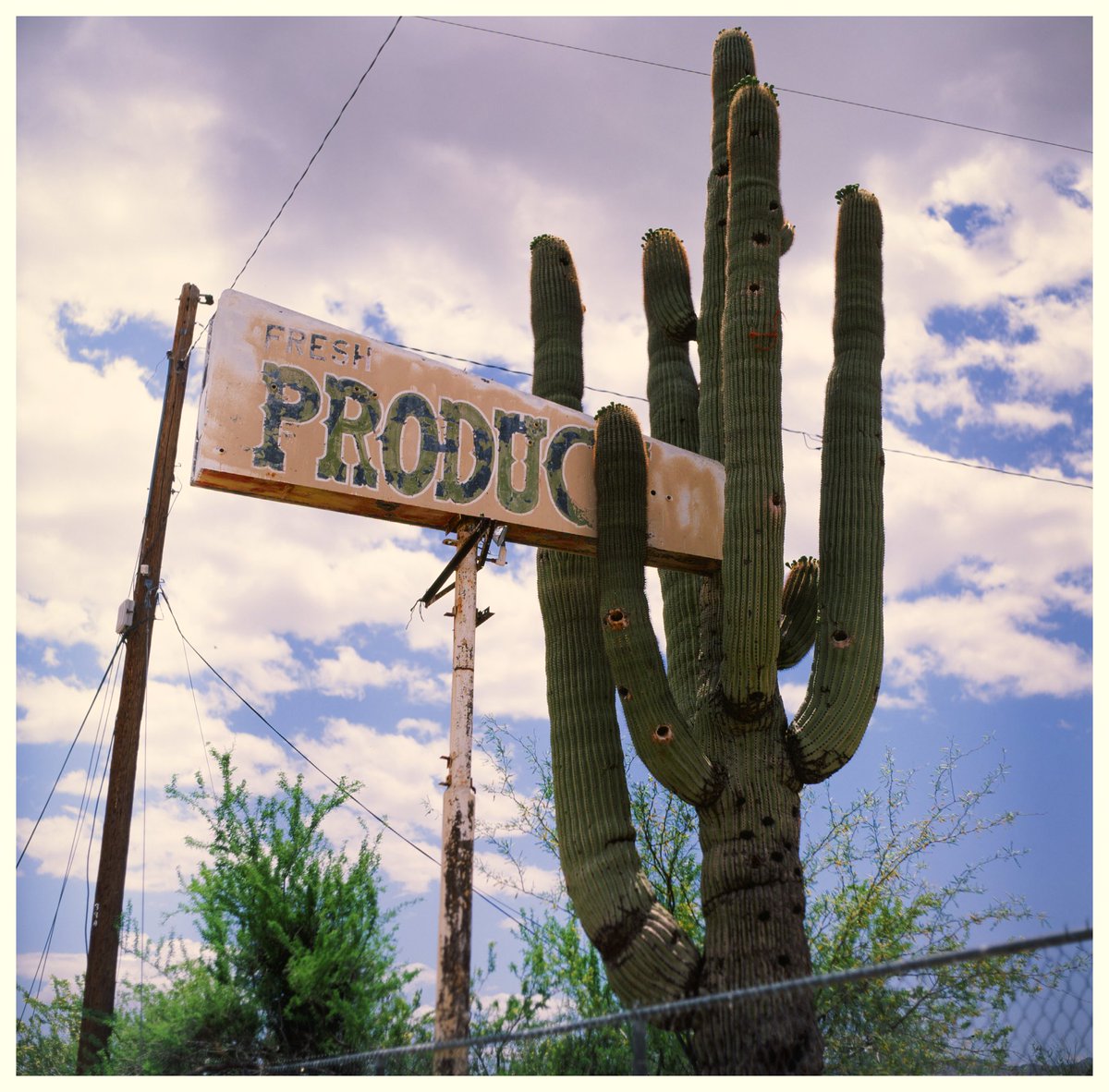 Fresh Produce - #Velvia50 <a href="/FujifilmUS/">Fujifilm America</a>