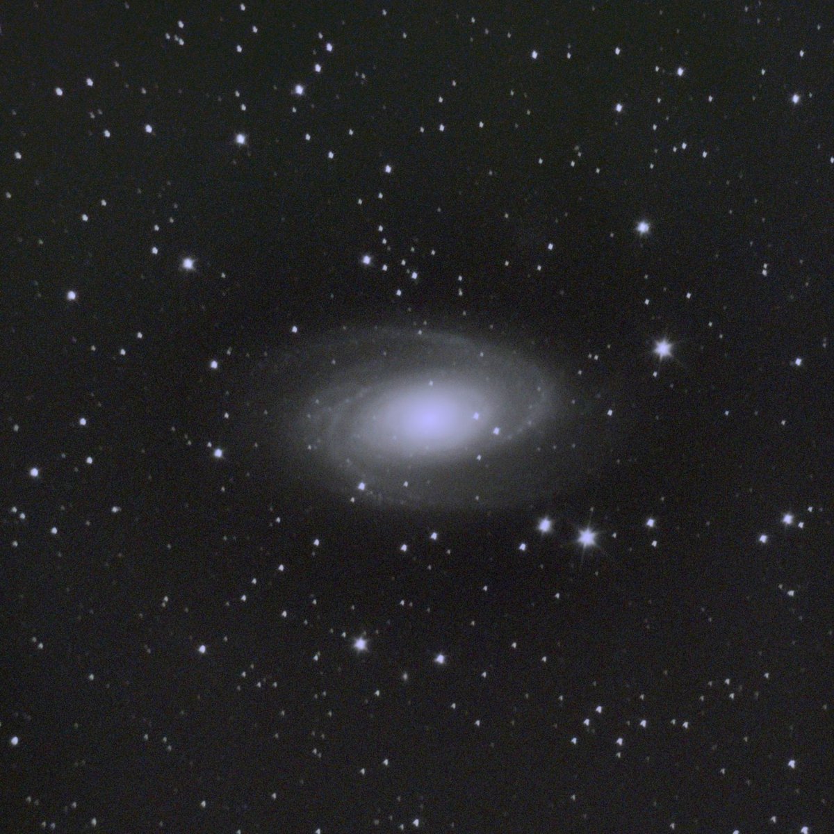 NStarScientific's tweet photo. Messier 81 is one of the brightest galaxies in the night sky🔭and makes for a great target to capture!
#astrophotography #astrophoto #astronomy #deepskyastrophotography #galaxy #telescope #northstarscientific #messier81 https://t.co/M2HRjRVkyq