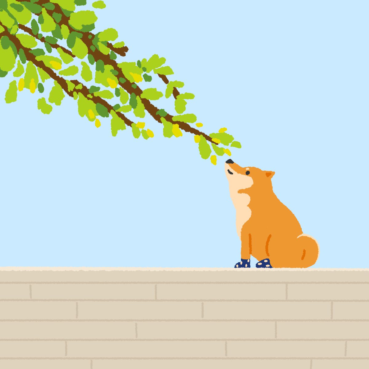 Found my spring ❤️