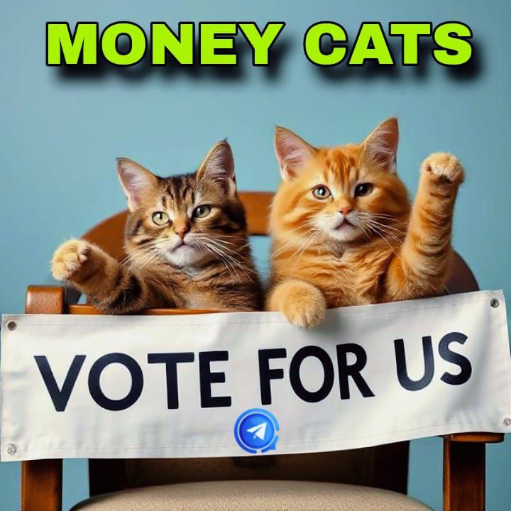 MoneyCatsbot's tweet photo. Hey, how are you? ⭐️
Vote for us in the Telegram Apps Center to help our Money cats. This event 50 most active voters will each receive an exclusive NFT Gift. 
Head to the Apps Center VOTE NOW https://t.co/i6QRql9Smv
#moneycats #mcats #cats #NFT #Web3Gaming https://t.co/V73ZzB0EH8