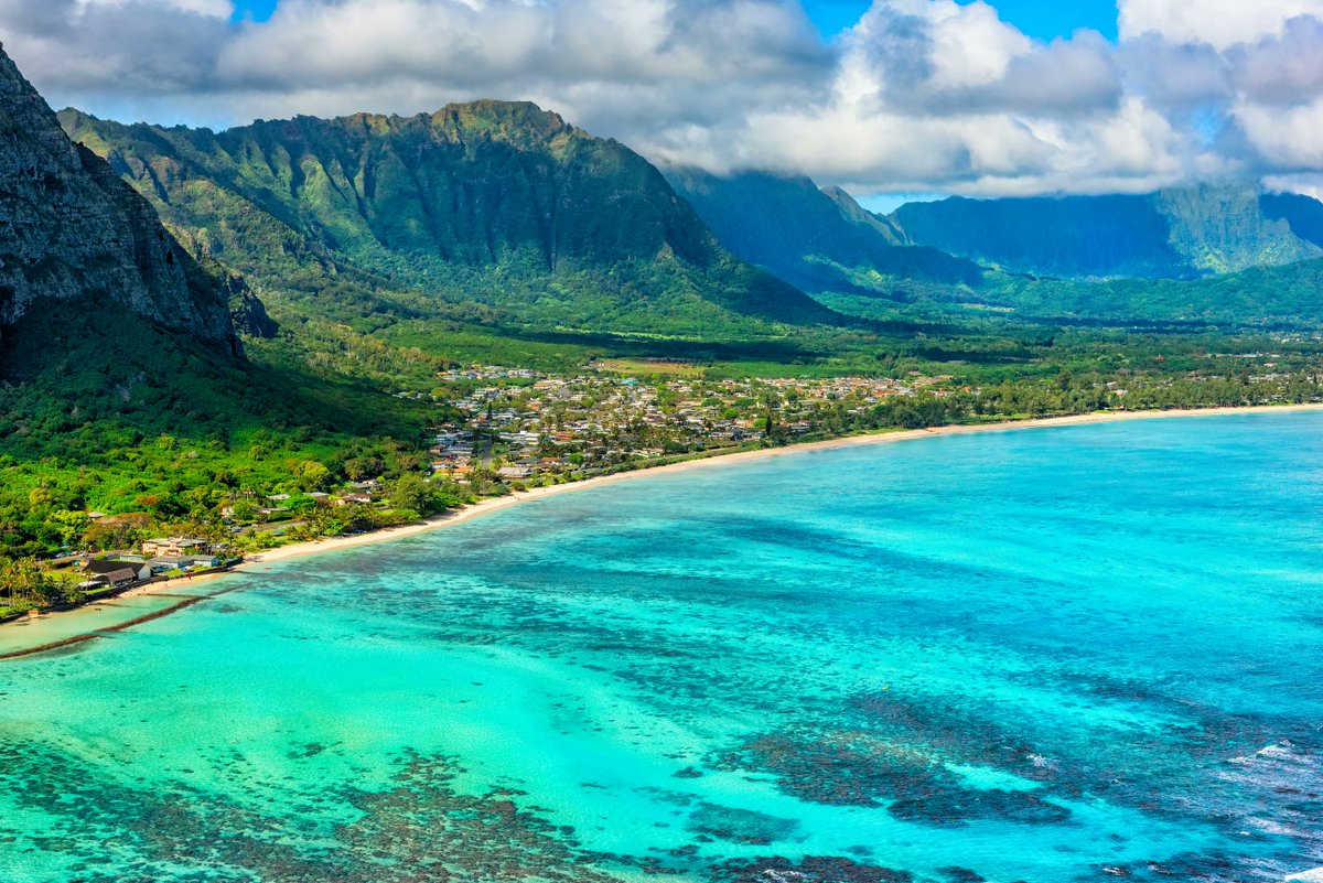 Ryan Danz tweet media